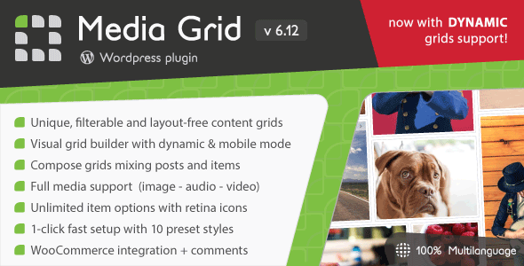 Media Grid - Wordpress Responsive Portfolio Plugin (Bundle Pack)
